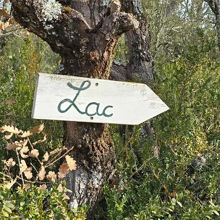 Feriested Camping Saint-Laurent-Du-Verdon *