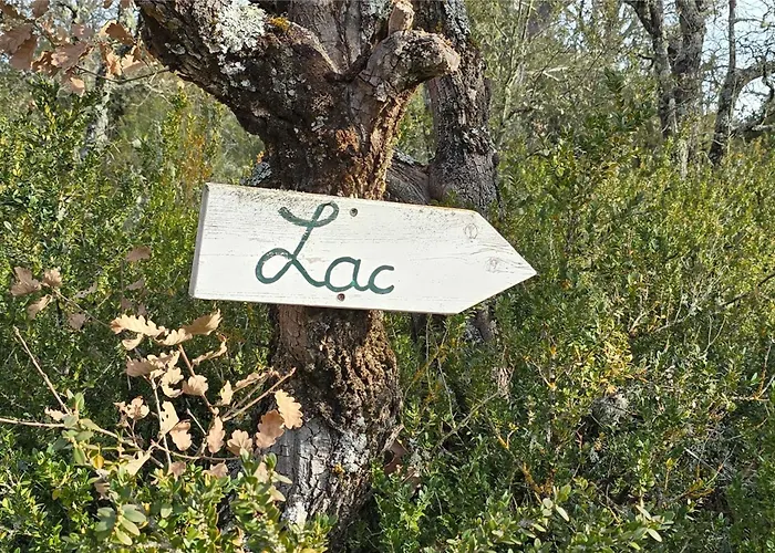 Resort Camping Saint-Laurent-Du-Verdon *